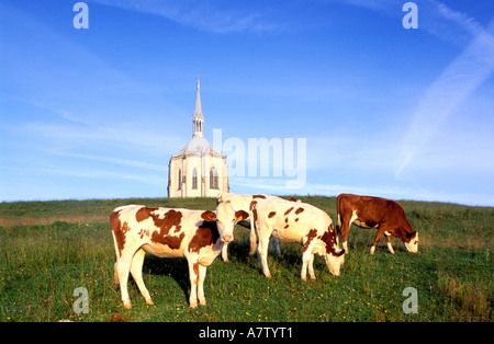 Frankreich, Doubs, Kapelle des Ouhans an der Quelle des Flusses Loue Stockfoto