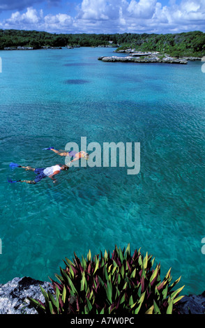 Mexiko, Quintana Roo Zustand, Riviera Maya, Tauchen in Xel-Ha laguna Stockfoto