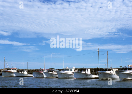 Flotte und Hummer Fischerboote am Dock nahe Buctouche New Brunswick auf der Acaidan Halbinsel Stockfoto