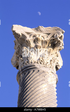 Zypern, Limassol District, die Ausgrabungsstätte Kourion, Basilika bleibt, Hauptstadt im korinthischen Stil mit acantus Stockfoto