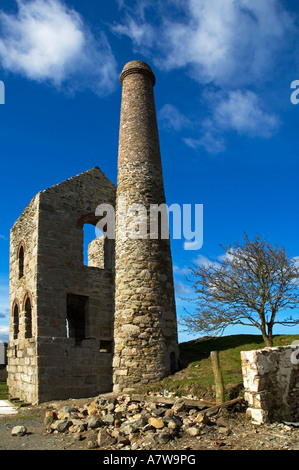 eine restaurierte Tin mine in der Nähe von Redruth, Cornwall, england Stockfoto