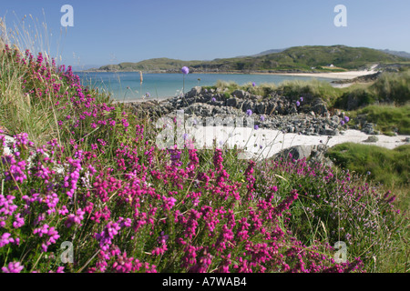 Camusdarach Strand in Schottland Stockfoto