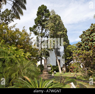 Villa Quinta das Cruzes, Funchal, Madeira, Portugal Stockfoto