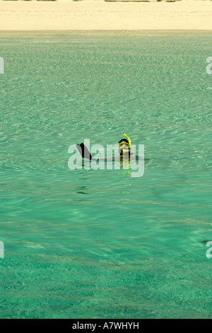 Schnorcheln auf Double Breasted Cay zerlumpte Insel Kette Bahamas Atlantik Stockfoto