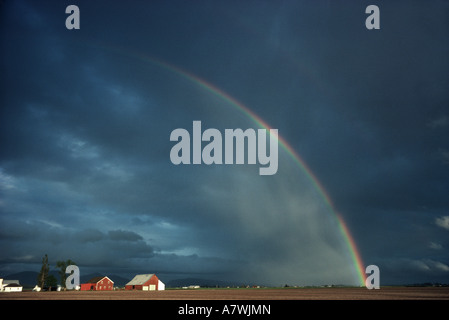 Regenbogen über Ackerland Skagit Wohnungen Skagit County Washington State USA Stockfoto