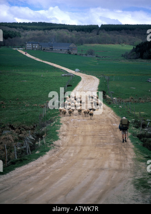 Le Sauvage Gite Inn Haute Loire Massif central Frankreich Pilger unterwegs nach Santiago De Compostela Stockfoto