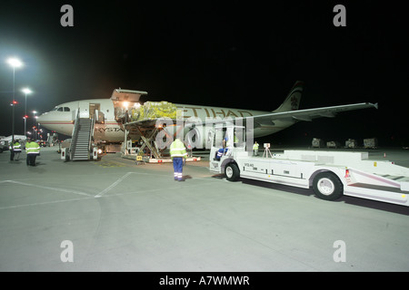 Luft-Frachter wird geladen in der Nacht auf dem Flughafen Frankfurt-Hahn, Rheinland-Pfalz, Deutschland Stockfoto