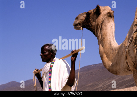 Republik Dschibuti, Assal See, Salz Wohnwagen Stockfoto