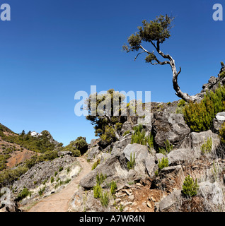 Casa Do Abrigo ist die einzige Berghütte auf Madeira, Pico Ruivo, Madeira, Portugal Stockfoto