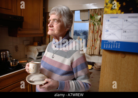 GEMEINDESTEUER DEMONSTRANT SYLVIA HARDY AUS EXETER UK FEB 2007 Stockfoto