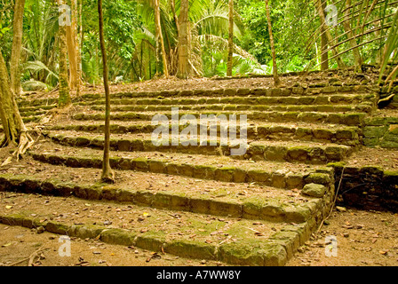 Costa Maya Mexiko Chacchoben Maya-Ruine Abfolge von Schritten Stockfoto