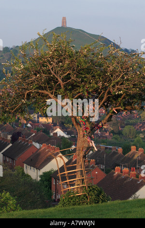 Glastonbury Tor und dekorierte Heilige Dornenbaum auf Wearyall Hill soll von Joseph von Arimathia gepflanzt worden sein Stockfoto