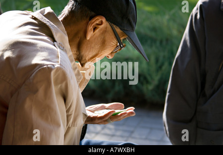 CHINA BEIJING ältere chinesische Mann entscheiden, welche Domino zu spielen auf dem Gemeinschaftsstand des Tempel des Himmels Stockfoto