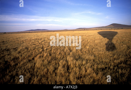 Tansania, Nationalpark Serengeti Ebene der Serengeti, Flug im Heißluftballon (Luftbild) Stockfoto