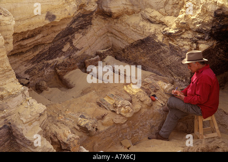 Ägypten, Oase Bahariya, Tal der goldenen Mumien, Dr. Zahi Hawass im Grab 54 Prüfung Mumien Stockfoto