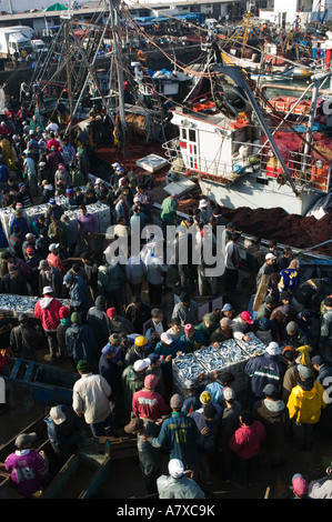 Marokko, Casablanca: Menschenmassen am Fisch Auktion Fischerei Hafen / Port de Peche Stockfoto