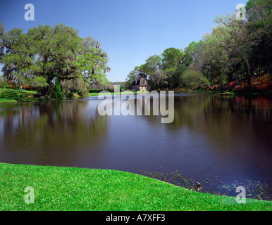 Middleton Place Garten in Charleston South Carolina USA im Frühjahr Stockfoto