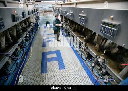 Ein Landwirt Milchkühe in einem 14 14 schnell beenden Melkstand England UK Stockfoto