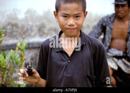 Asien, Indonesien, Sulawesi, Tana Toraja. Junge mit Käfer Stockfoto