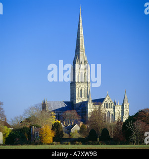 Kathedrale von Salisbury gesehen von den Auen im Herbst Stockfoto