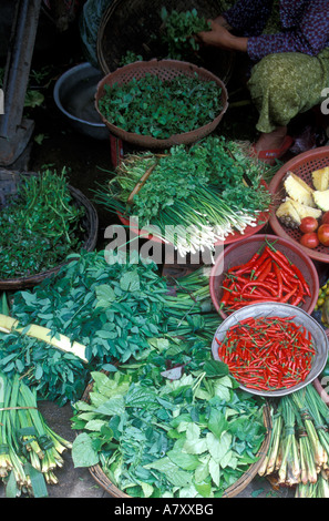 Asien, Vietnam, Hoi An, Frau verkaufen frische grüne Produkte in Central Market Thu Bon Fluss entlang Stockfoto