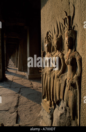 Kambodscha, Angkor Wat, Flachrelief von Aspara (himmlische Nymphe) Schnitzereien in Steinmauern der Tempel Angkor Wat Stockfoto