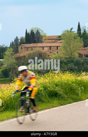 Bunte Radfahrer unterwegs 429 zwischen Castellina und Poggibonsi in den toskanischen Hügeln von Italien. Stockfoto