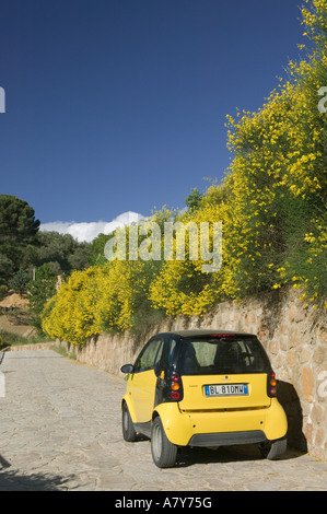 Italien, Sizilien, Villa Imperiale del Casale, Smart Auto mit gelben Blüten Stockfoto