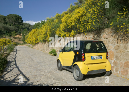 Italien, Sizilien, Villa Imperiale del Casale, Smart Kleinwagen mit gelben Blüten Stockfoto