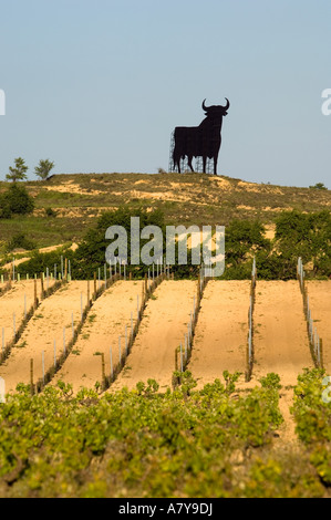 Statue der schwarzen Stier auf Bergrücken oberhalb der Weinberge im Bereich Briones in der Region La Rioja im Norden Spaniens. Stockfoto