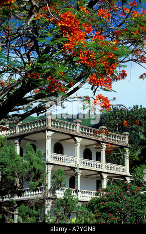 Seychellen, Insel Mahe, Victoria, Baum Blumen und Gebäude Stockfoto