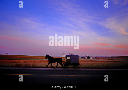 USA, Pennsylvania, The Lancaster County Amish Leute, Horse-drawn Buggy auf der Straße in der Abenddämmerung, verschwommen Bewegung Stockfoto