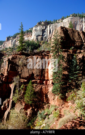 Nordamerika, USA, Arizona, Grand Canyon National Park, North Rim. North Kaibab Trail, Bright Angel Canyon. Stockfoto