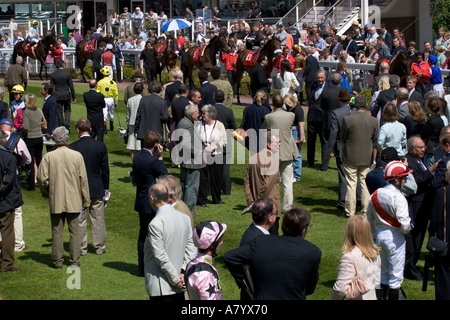 Studieren die Pferde in den Parade-Ring vor dem Rennen Stockfoto