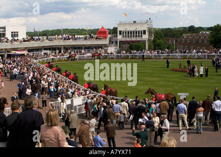 Studieren die Pferde in den Parade-Ring vor dem Rennen Stockfoto