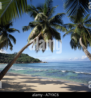 Anse Takamaka Strand Mahé Hauptinsel der Seychellen, Indischer Ozean Stockfoto