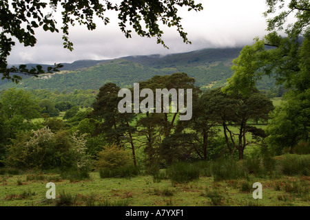 Blick vom in der Nähe von Tanygriseau über Tal, Snowdonia National Park North Wales Stockfoto