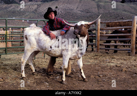 USA, Wyoming, Cody, dude Ranch, Double Diamond X-Ranch, Wrangler und einer langen Horn-Kuh Stockfoto