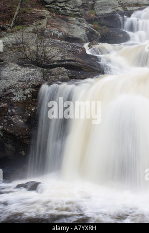 Chapman verliebt sich in des Teufels Hopyard State Park, East Haddam, Connecticut.  Eight Mile River. Stockfoto