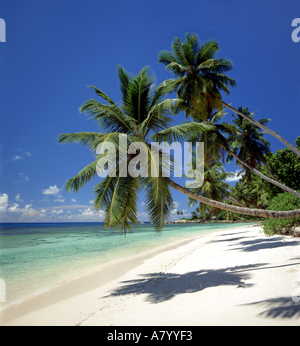 La Digue, leeren Strand der Seychellen, Indischer Ozean Stockfoto