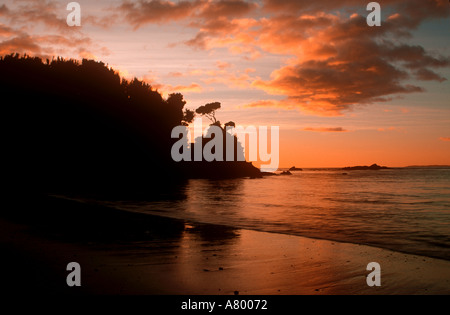 NEW ZEALAND STEWART ISLAND BUNGAREE Strand Dawn auf der sandigen Strecke Bungaree Beach befindet sich auf 125 km Nord-West-Strecke Stockfoto