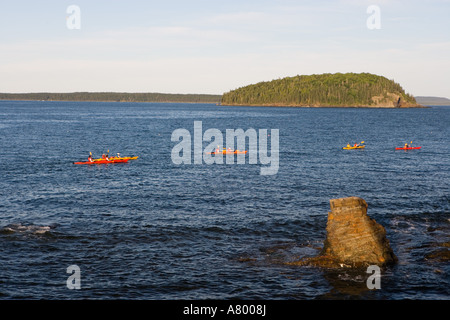 Meer Kajakfahrer in Franzose Bucht gesehen vom Ufer Weg in Bar Harbor, Maine. Stockfoto