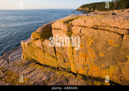 Am frühen Morgen auf den rosa Granit simsen der felsigen Küste Maines-Acadia-Nationalpark. Otter Klippen sind in der Ferne Stockfoto