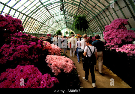 Belgien, Brüssel, Gewächshäuser Königspalast in Laeken park Stockfoto