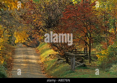 USA, Virginia, Loudoun County, Herbstfarben auf Landstraße. Stockfoto