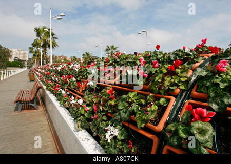 Pont de Les Flors Valencia Spanien Europa Stockfoto