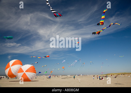 WA, Long Beach, internationalen Drachenfestival, Drachen Stockfoto