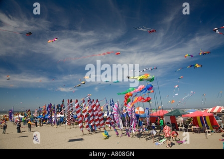 WA, Long Beach, internationalen Drachenfestival, Drachen und Banner Stockfoto