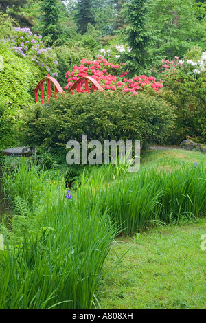 WA, Seattle, Kubota Garten, Mond-Brücke und blühenden Rhododendren Stockfoto