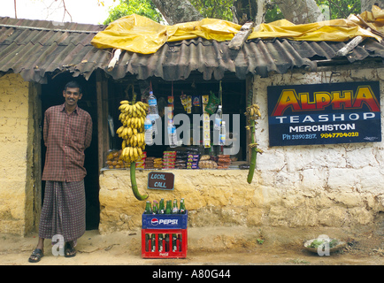 Kerala, Western Ghats, Tee-Shop Stockfoto